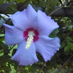 Meet your Posher, Barbie